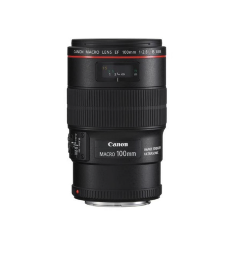 Canon EF 100mm f/2.8L Macro IS USM – Bild 2